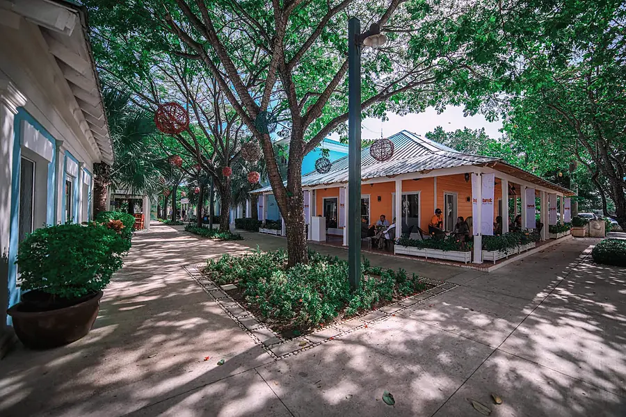 Punta Cana Village